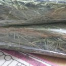 덕용농장 이미지