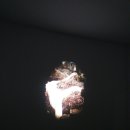 하룬 파로키 회고전 이미지