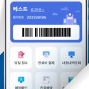 세종나무병원 네이버블로그