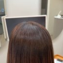 준희살롱 | 양재시민의숲역 뿌리매직 : 강한 곱슬도 손상 없이 매끄럽게, 1:1 프라이빗 케어 살롱 🌿