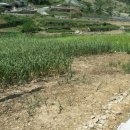 금오도공인중개사사무소 이미지