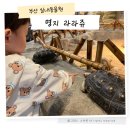 금강누리봄어린이집 | 명지 라라쥬 부산 실내동물원 아기랑 실내 가볼만한 곳