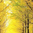 일도 농장 이미지