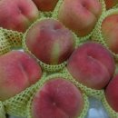 감곡시장 이미지