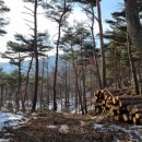 단양군산림조합 이미지