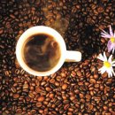 커피해요 이미지