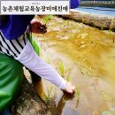 미애농장 | 천안 농촌체험교육농장 미애친애 5월 모내기체험