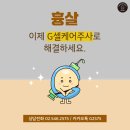 G2575 이미지