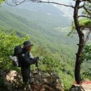 청산사슴농장 | 영남알프스 신환주 2차(백암봉-657봉)