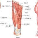 와이키키짐 이미지