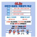 야무진 태권도 이미지