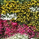 하늘자원 이미지