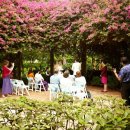 미국생활기-시누이의 결혼식+조카 이야기. 이미지