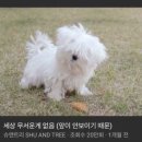 없음 - 합천군 봉산면 | 없음
