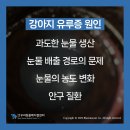 우리동물메디컬센터 이미지