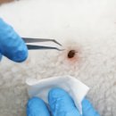 루다약국 이미지