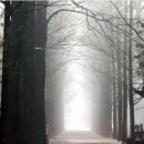 사나래펜션 이미지