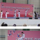 그린나래 태권도 시범단 이미지