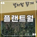 한마음조경