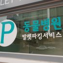 죽전동물메디컬센터 이미지