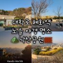 롯데리아 혜화 | [서울 혜화역] 낙산공원 대학로 노을 야경 벚꽃 명소 후기