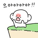 설뷰티샵 이미지