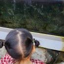 장기면 양포 이미지