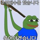 미주은 이미지