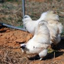 백봉한의원 이미지