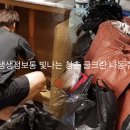 청춘크린