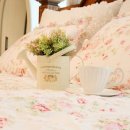 와일드 플라워 이미지