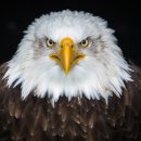 VIP행정사사무소 이미지