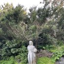 서건도카라반 이미지