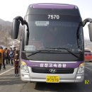 삼정고속관광 이미지