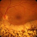 더베이직안경원 이미지