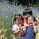 지윤목장 이미지