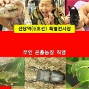 신당역 곤충파충류생태체험장 관람 안내 이미지