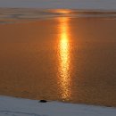 물고기자리 이미지