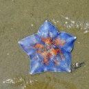 몽산포랑바다랑 이미지