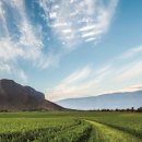 엘 농장 이미지