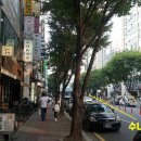 옥류관칡냉면 - 포항시 북구 새천년대로1249번길 10-6 | 옥류관칡냉면