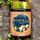 장수약용버섯