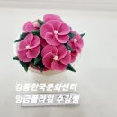 한국플라워아트교육원