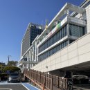 사상경찰서 | 부산 사상구청 혼인신고 후기(주차, 준비물, 절차)