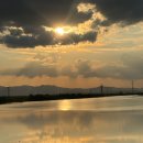 선장식자재마트