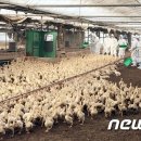 김정수농장 이미지