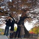 [10/17 ~ 10/23] 슴일곱살들 수학여행으로 파주뽀개기 (근데 이제 오트리 메달리스트 구매 후기를 곁들인)