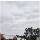 신두리세븐패밀리캠핑장 | 태안개별사워실 가족 캠핑의 천국, 신두리세븐패밀리캠핑장 후기