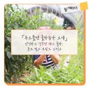 담소푸드
