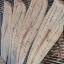 모세로 | 경기 광주 모세수산 장어천국- 사위 생일 보양식 외식후기 내돈내산